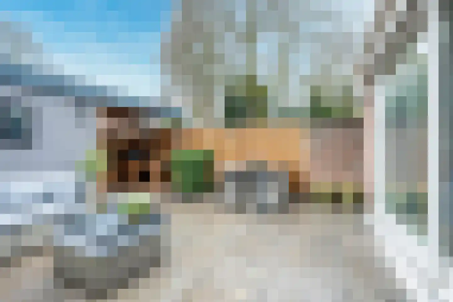 Kievit 22 Doorn thumbnail 18