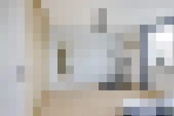 Kievit 22 Doorn thumbnail 19