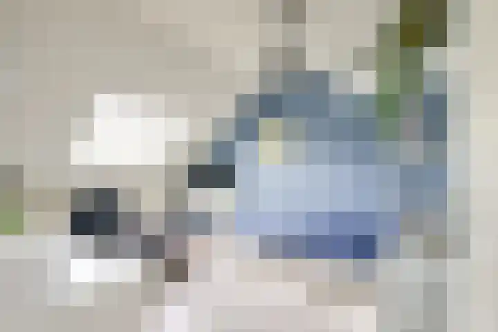 Kievit 22 Doorn thumbnail 22