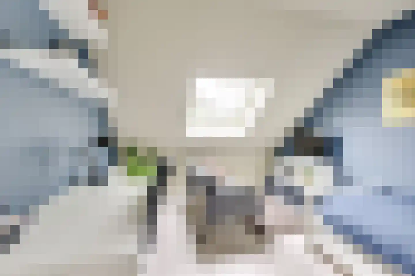 Kievit 22 Doorn thumbnail 23