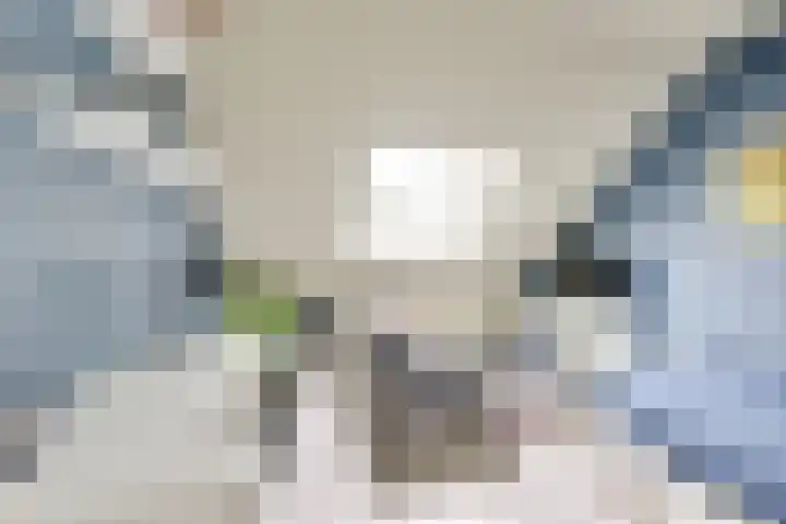 Kievit 22 Doorn thumbnail 23