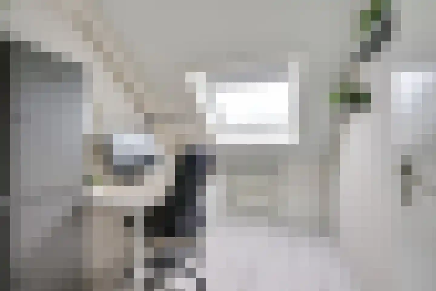 Kievit 22 Doorn thumbnail 25