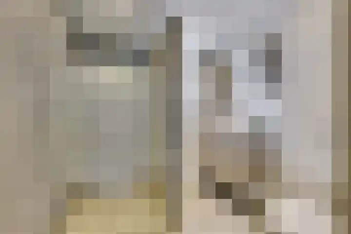Kievit 22 Doorn thumbnail 27