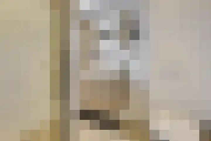 Kievit 22 Doorn thumbnail 28