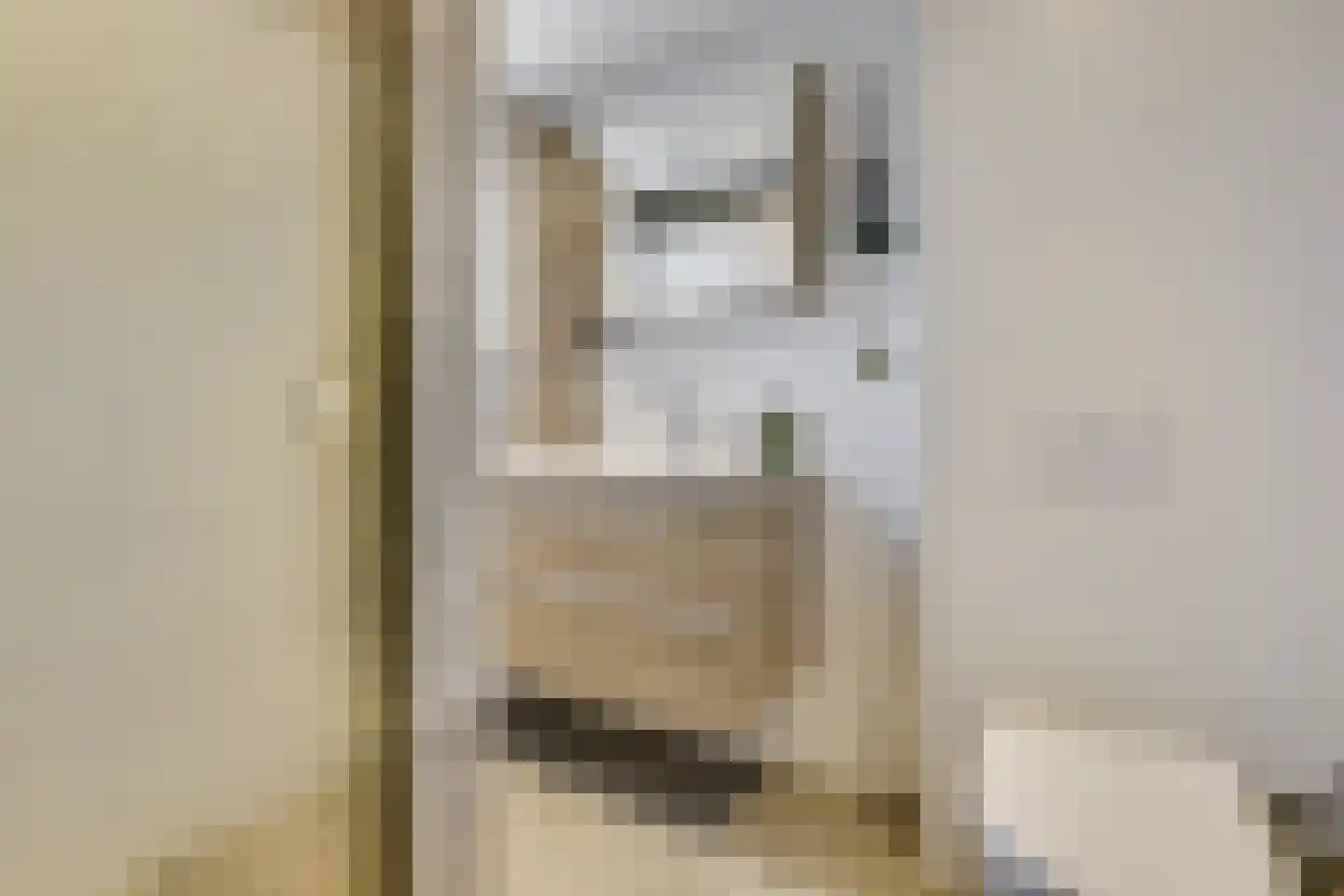 Kievit 22 Doorn thumbnail 28