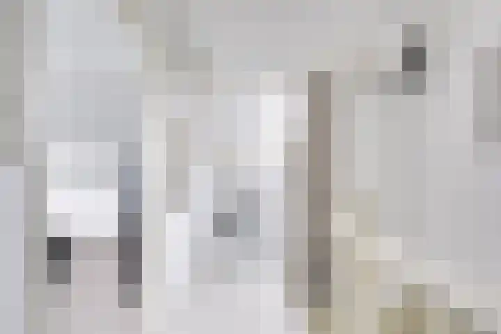 Kievit 22 Doorn thumbnail 30