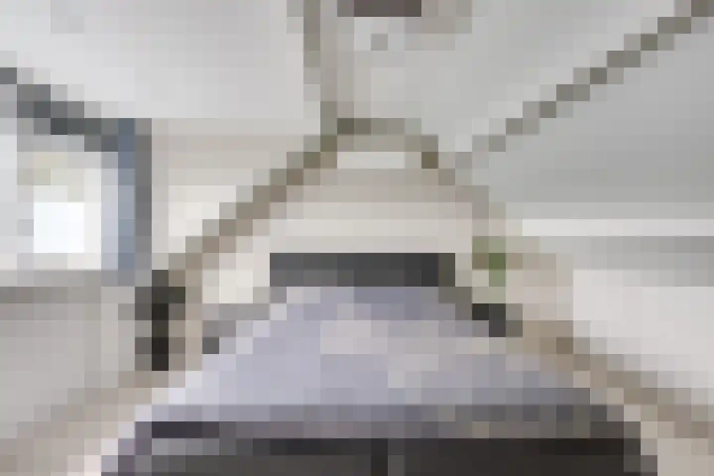 Kievit 22 Doorn thumbnail 31