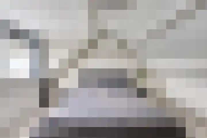 Kievit 22 Doorn thumbnail 31