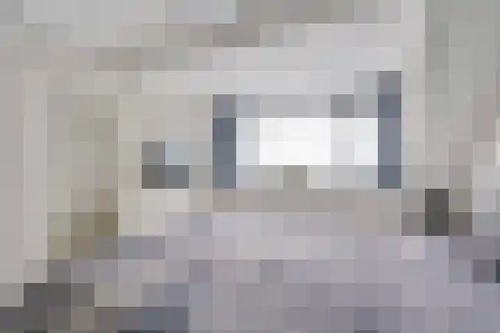 Kievit 22 Doorn thumbnail 32
