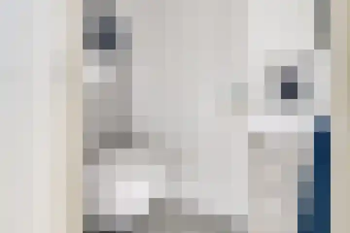 Kievit 22 Doorn thumbnail 33
