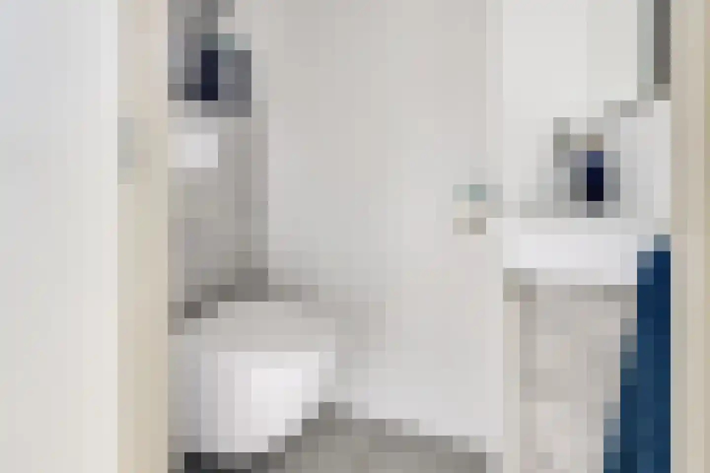 Kievit 22 Doorn thumbnail 33