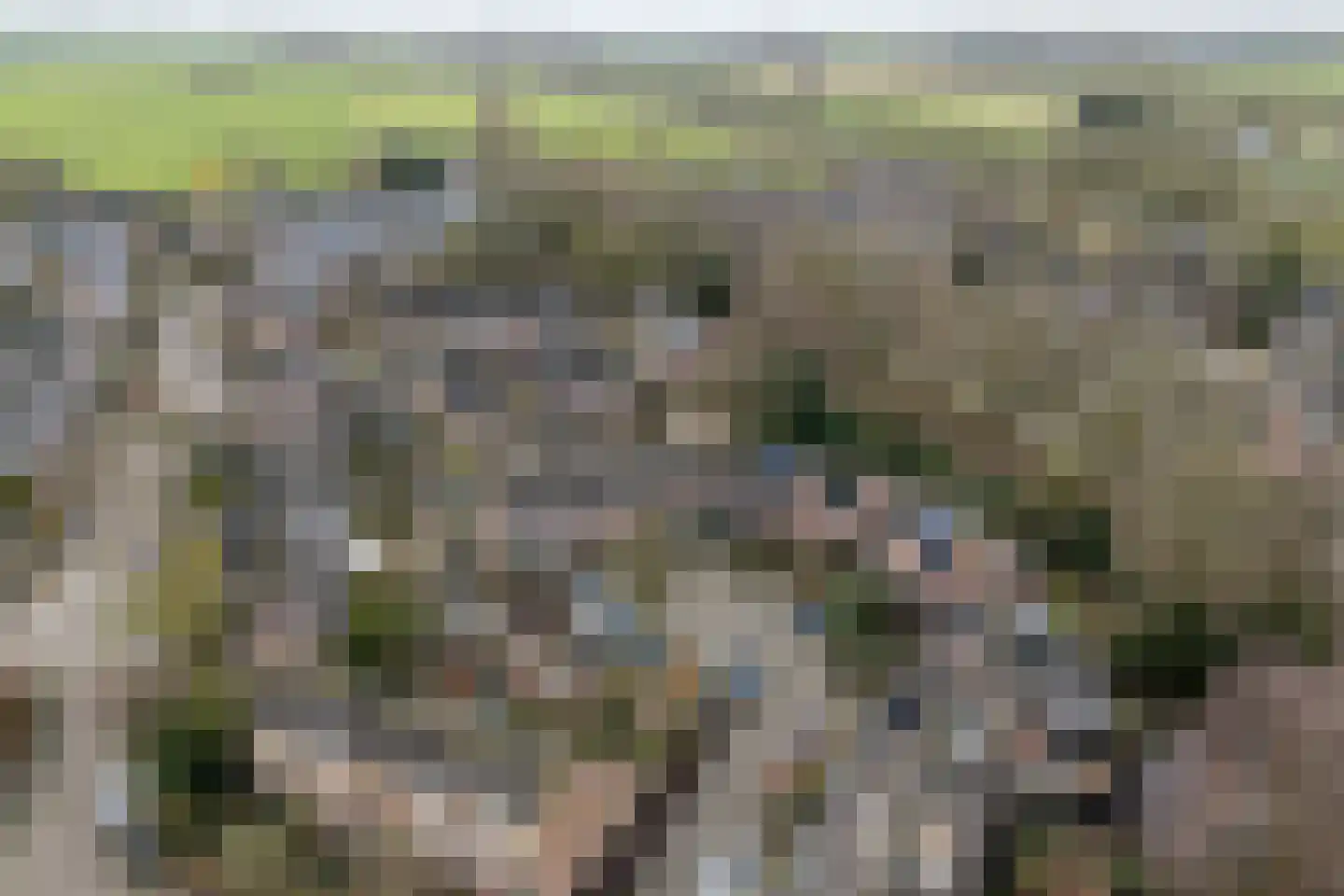 Kievit 22 Doorn thumbnail 37