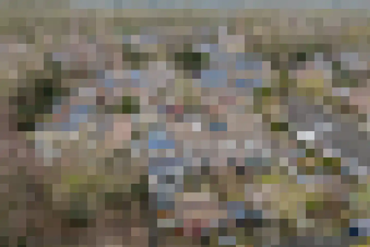 Kievit 22 Doorn thumbnail 38