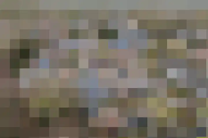 Kievit 22 Doorn thumbnail 38