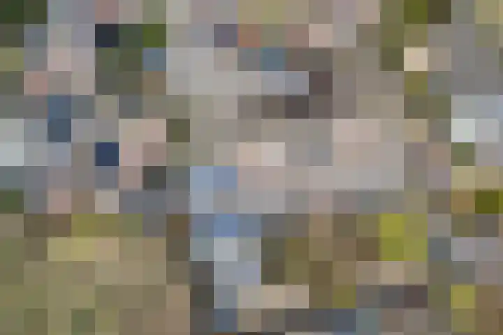 Kievit 22 Doorn thumbnail 39
