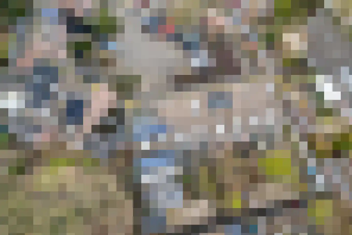 Kievit 22 Doorn thumbnail 39