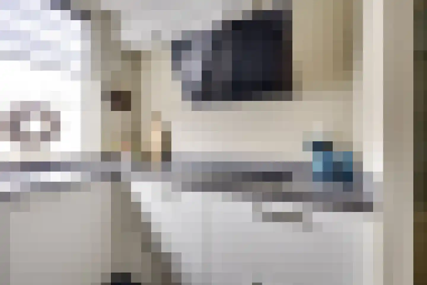 Kievit 22 Doorn thumbnail 7
