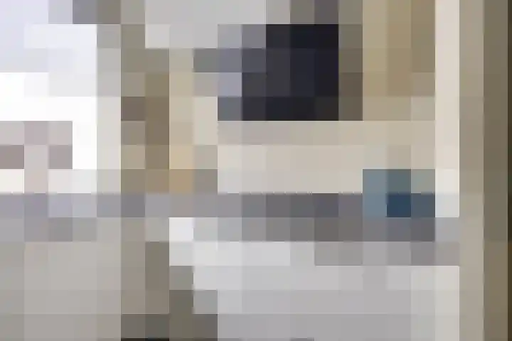 Kievit 22 Doorn thumbnail 7