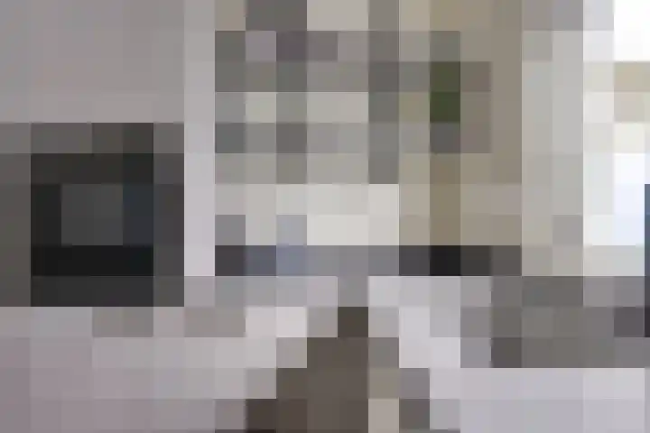 Kievit 22 Doorn thumbnail 8
