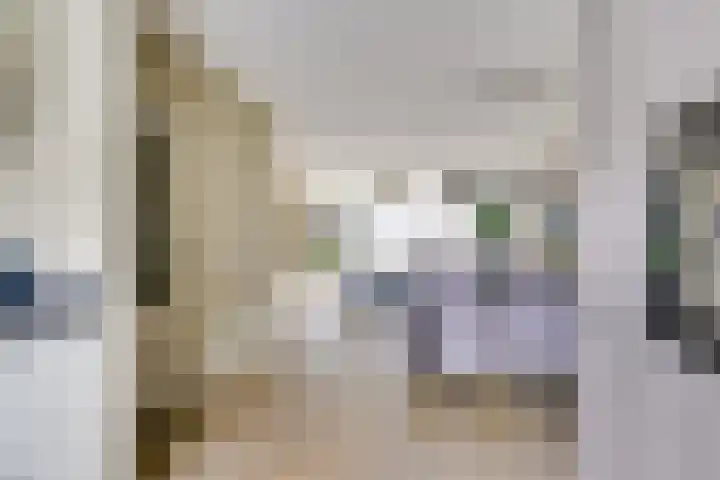 Kievit 22 Doorn thumbnail 9