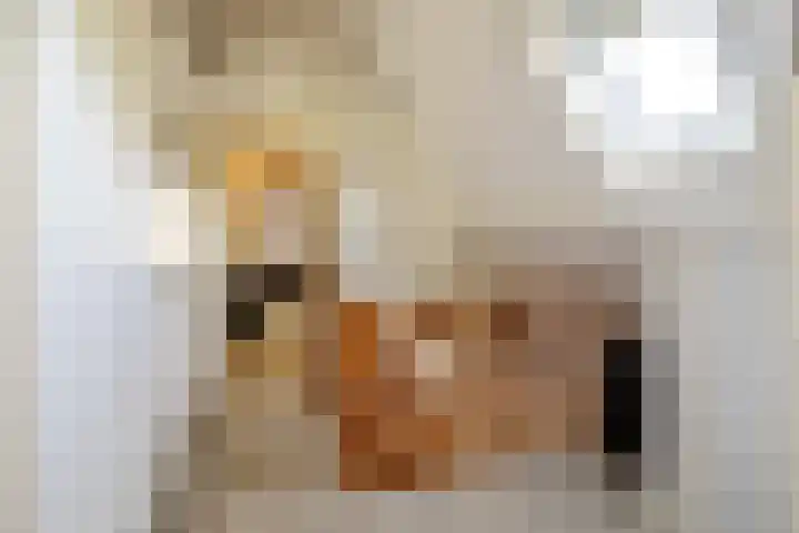 Kievit 22 Raalte thumbnail 12