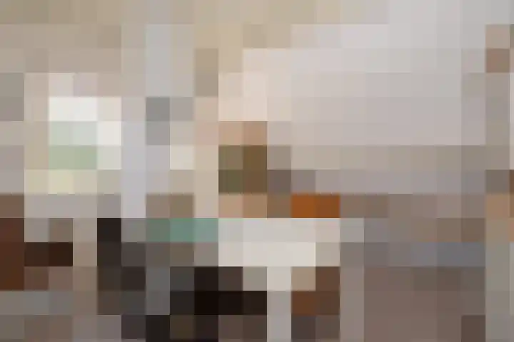 Kievit 22 Raalte thumbnail 13