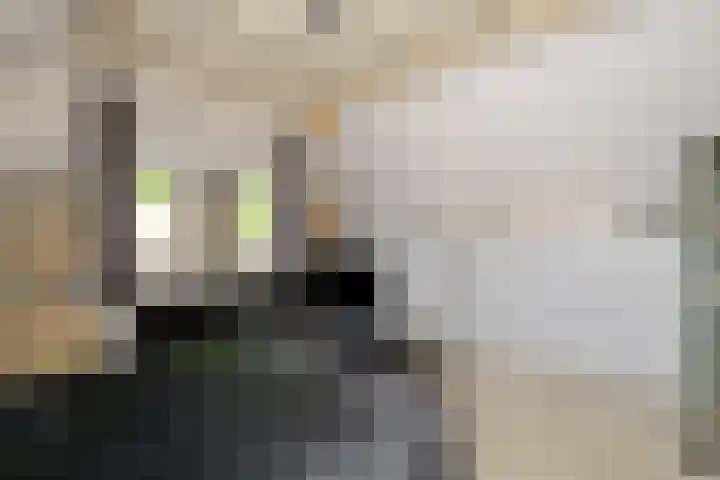 Kievit 22 Raalte thumbnail 14