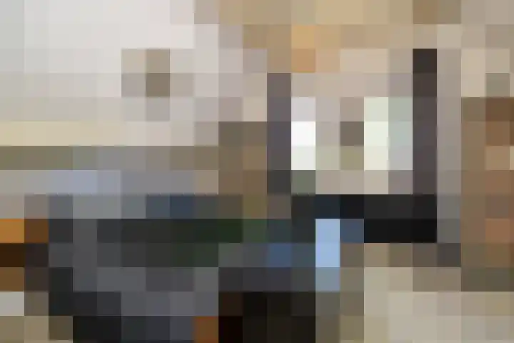 Kievit 22 Raalte thumbnail 15