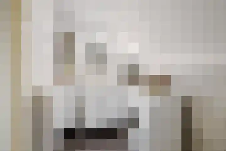Kievit 22 Raalte thumbnail 17