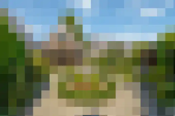 Kievit 22 Raalte thumbnail 19