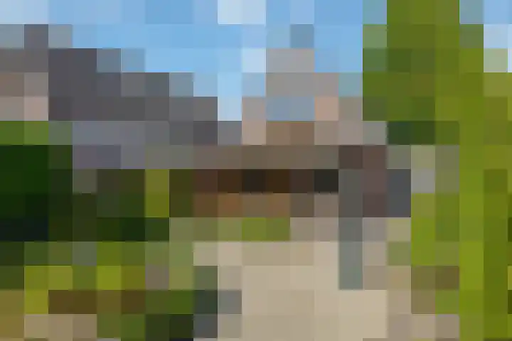 Kievit 22 Raalte thumbnail 20