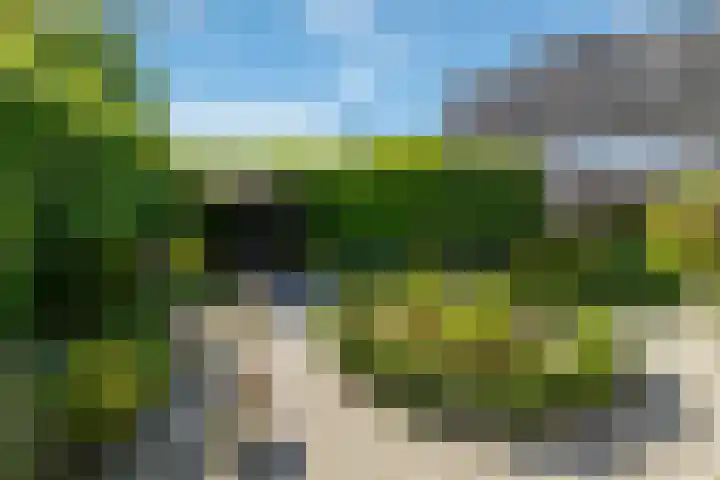 Kievit 22 Raalte thumbnail 21
