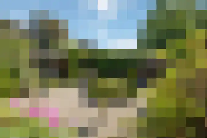 Kievit 22 Raalte thumbnail 22