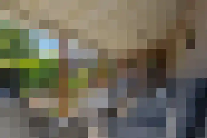 Kievit 22 Raalte thumbnail 23