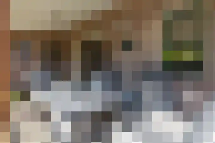 Kievit 22 Raalte thumbnail 24