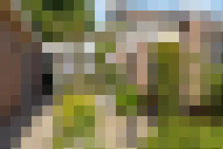Kievit 22 Raalte thumbnail 26
