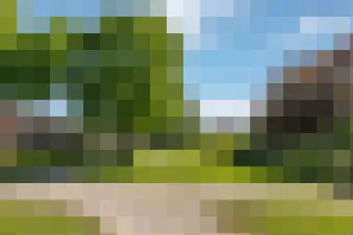Kievit 22 Raalte thumbnail 27
