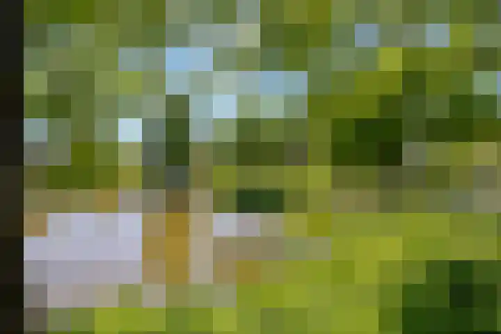 Kievit 22 Raalte thumbnail 28