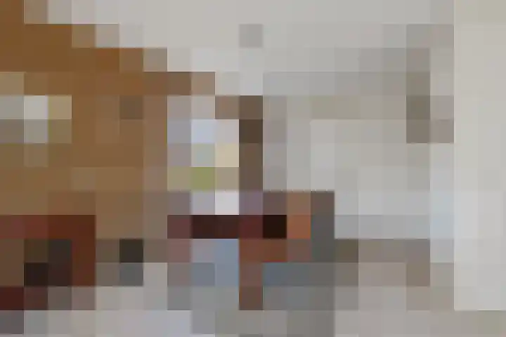 Kievit 22 Raalte thumbnail 5