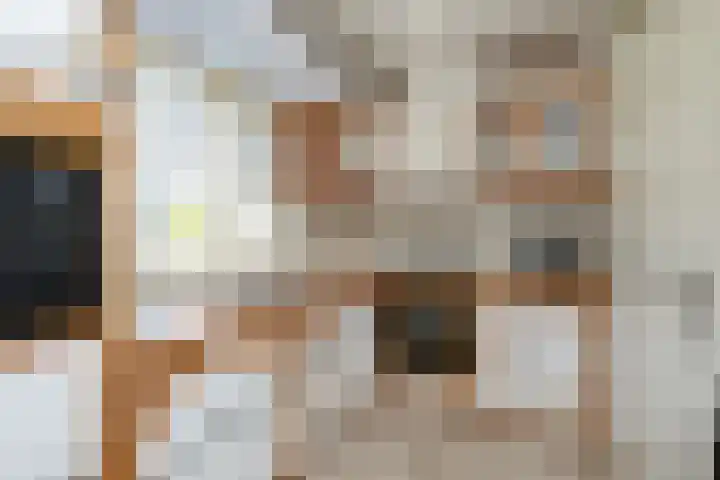 Kievit 22 Raalte thumbnail 6