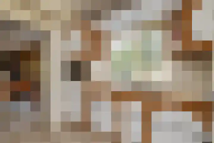 Kievit 22 Raalte thumbnail 7