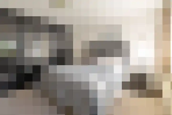 Kievit 22 Raalte thumbnail 8