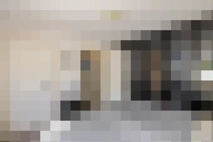 Kievit 22 Raalte thumbnail 9