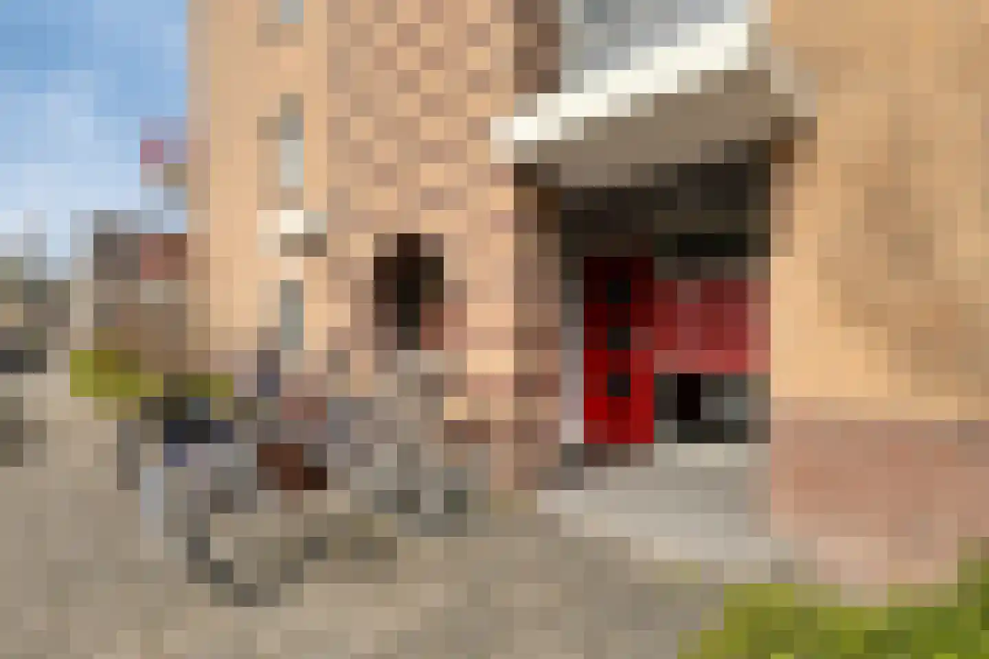Kievit 23 De Lier foto 3