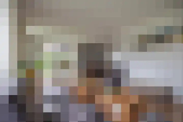 Kievit 23 Grootegast thumbnail 12