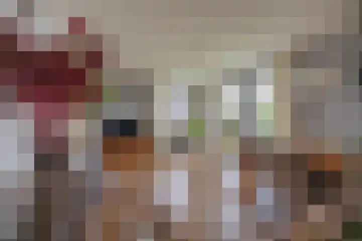 Kievit 23 Grootegast thumbnail 13