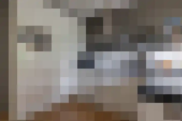 Kievit 23 Grootegast thumbnail 16