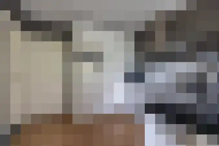 Kievit 23 Grootegast thumbnail 17