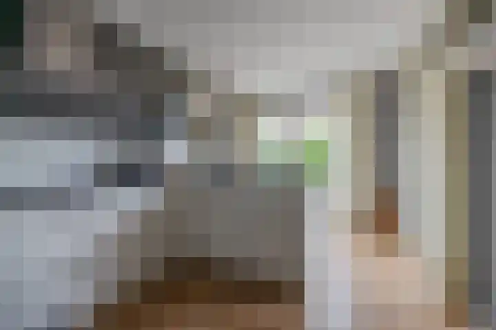 Kievit 23 Grootegast thumbnail 18