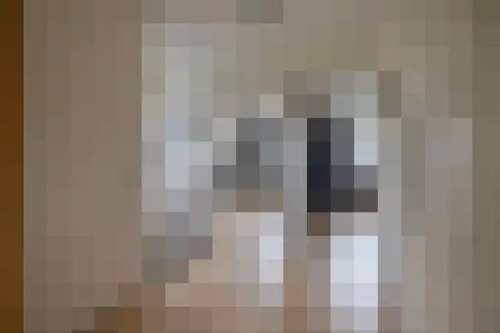 Kievit 23 Grootegast thumbnail 24